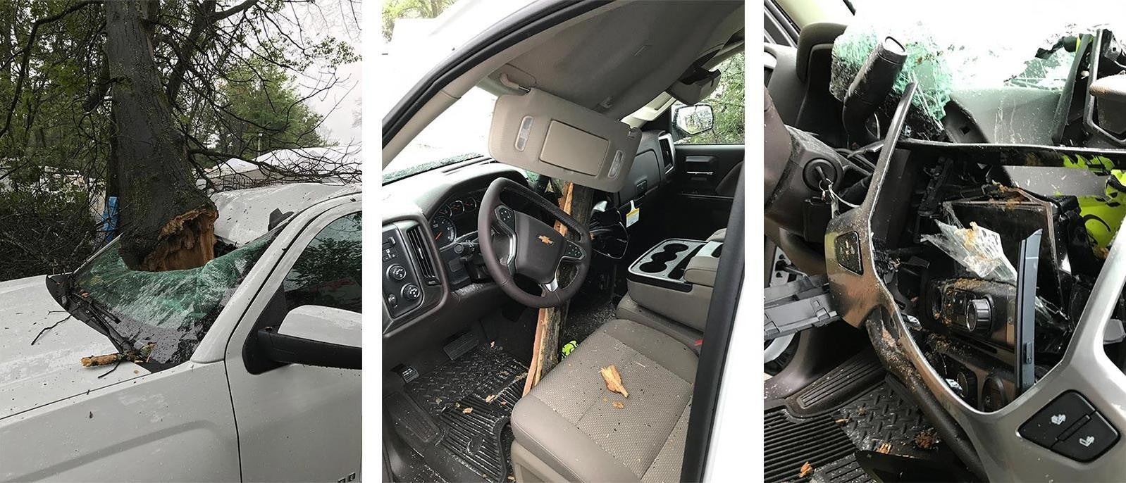 Tree crashes through truck windshield, damaging interior